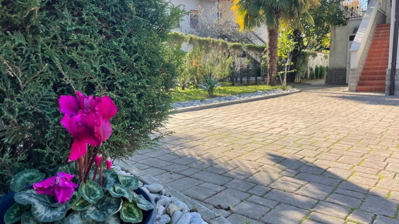 Madonca Rooms & Restaurant نوفا جوريكا المظهر الخارجي الصورة